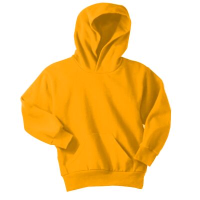 Youth Hooded Sweatshirt Thumbnail